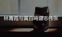  林青霞与黄百鸣曾志伟张艾嘉等老友聚会 星光璀璨